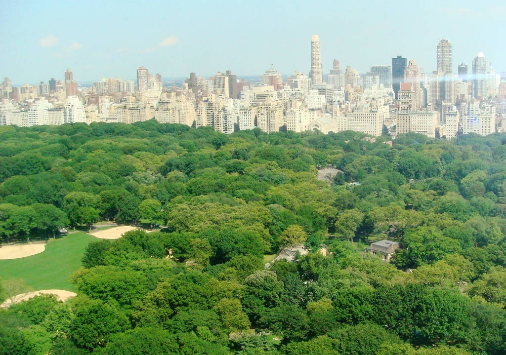 1 Central Park West, New York City NY 10023 A.N Shell Realty