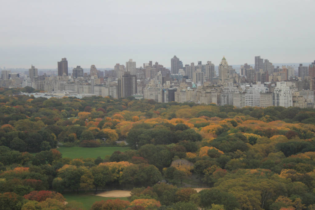 1 Central Park West, New York City NY 10023 A.N Shell Realty